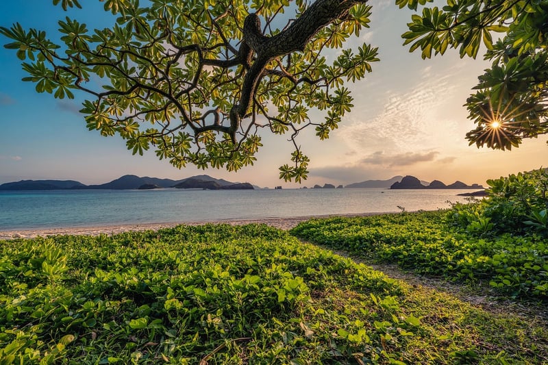 Mindfulness Retreats
